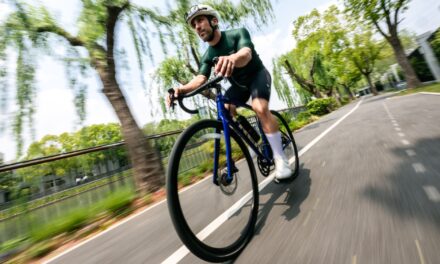 Kamingo easily transforms any bike into a 750-W e-bike