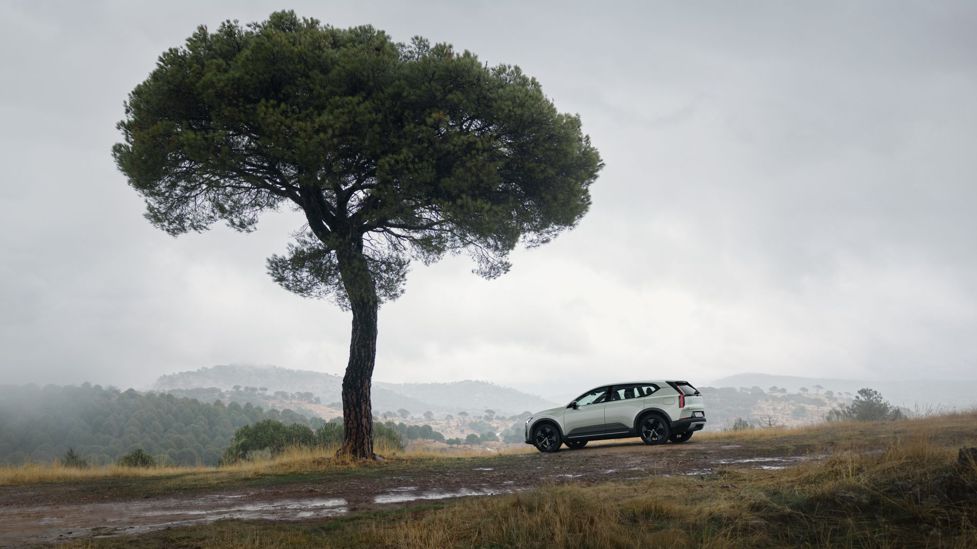 SteelWatch analysis shows world’s steelmakers have a long way to go on decarbonization